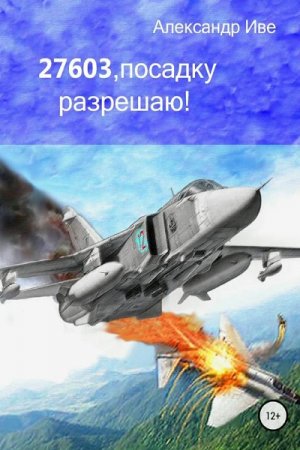 27603. посадку разрешаю!. Александр Иве