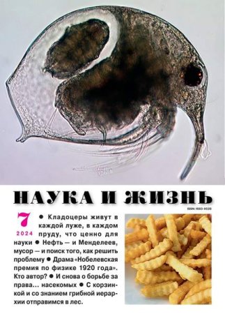 Журнал - Наука и жизнь №7 (июль 2024)